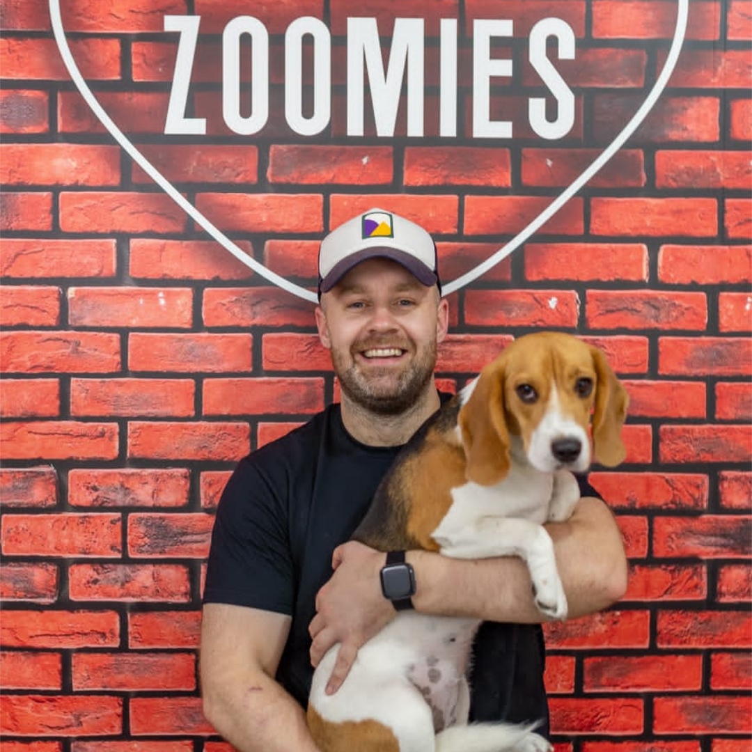 Zoomies - Best Dog Training in Dubai